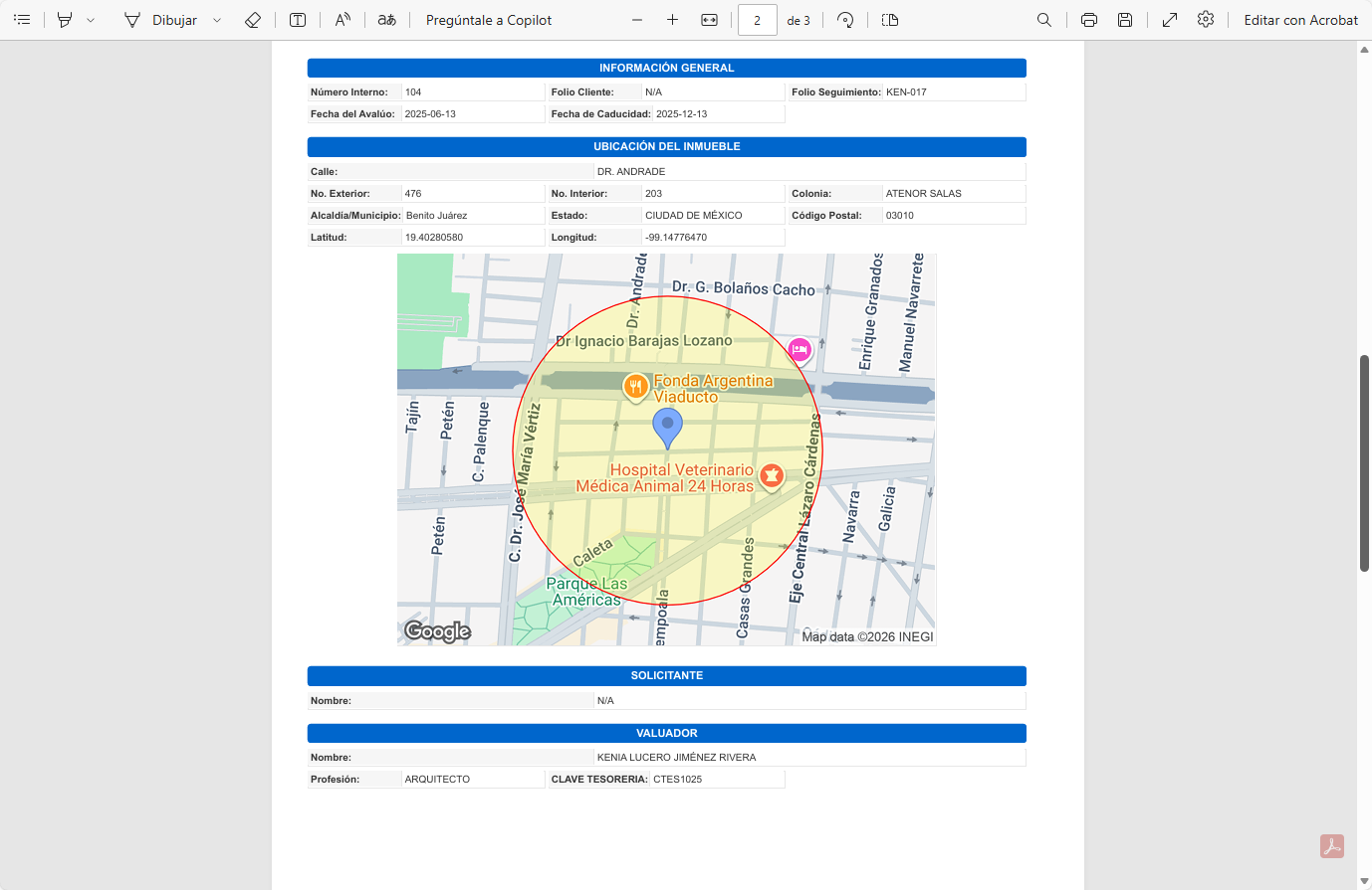 Reportes Profesionales